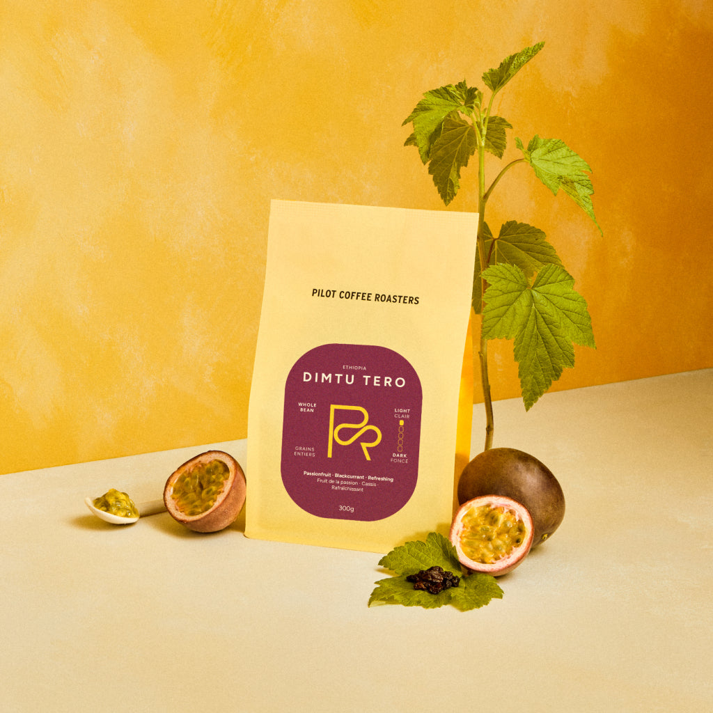 Dimtu Tero – Ethiopia