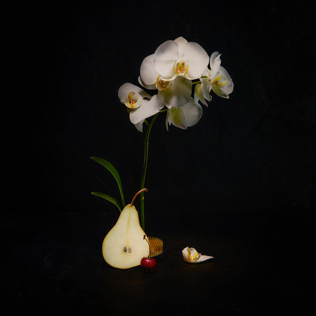 Sumava 'Black Moon' – Costa Rica