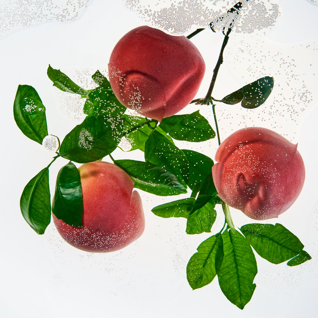 Campo Bello 'Geisha Natural' – El Salvador