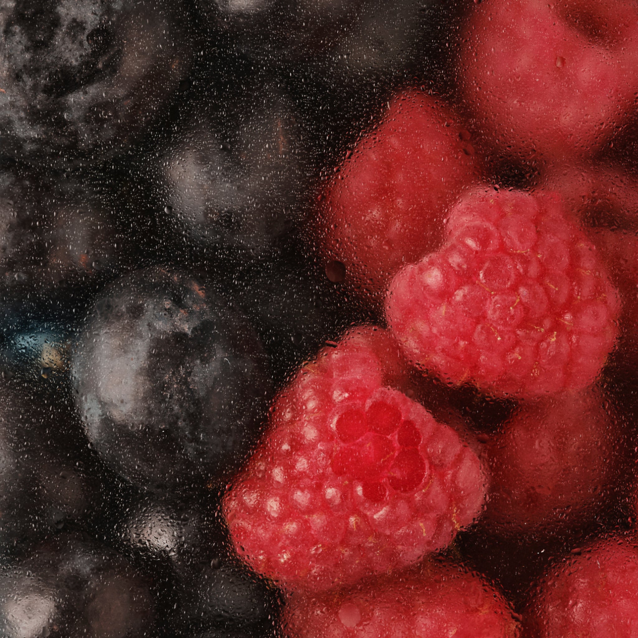 Close-up of the Radial Summer Blend artwork on the bag with a red and black background and water droplets