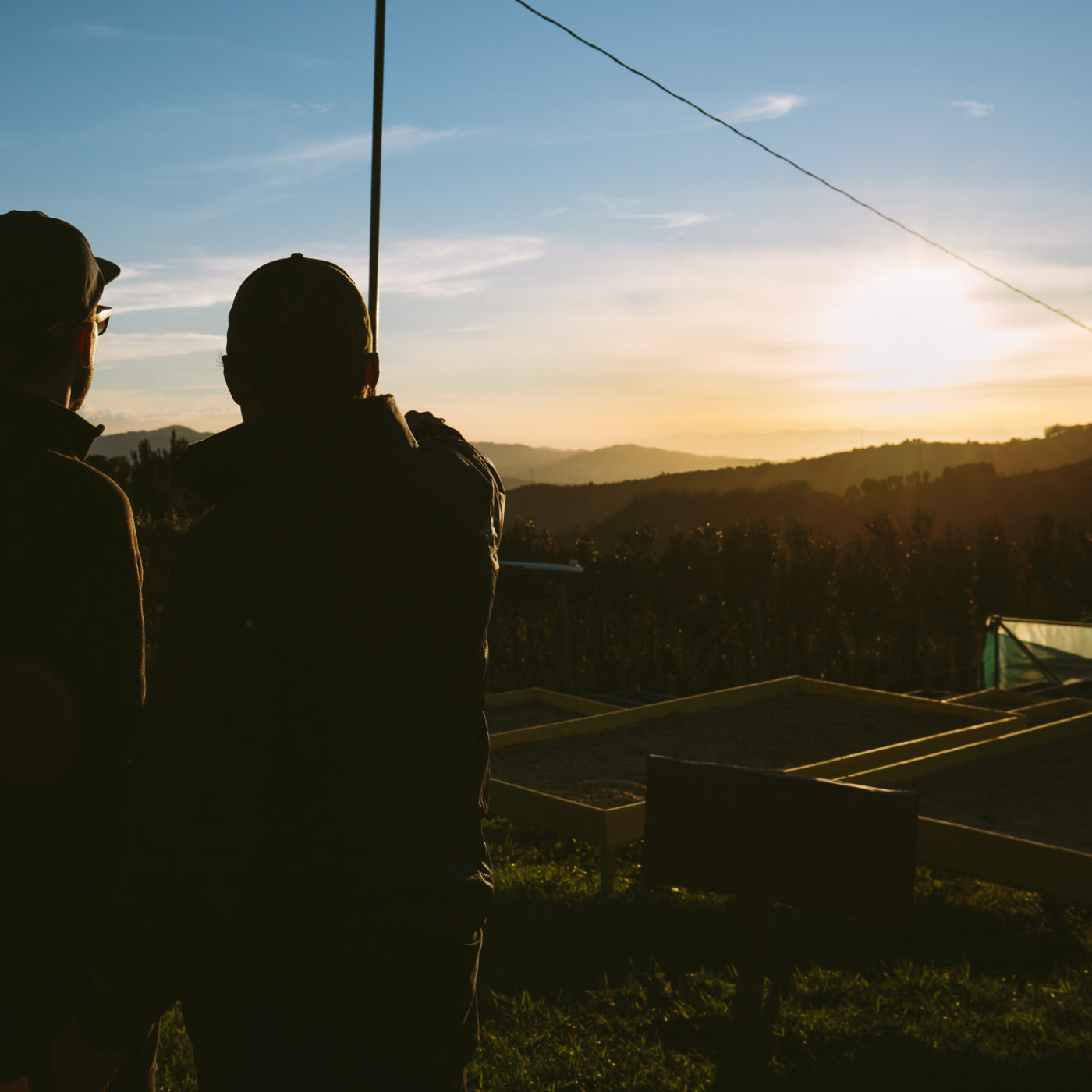 Silhouettes of two people stand on a hill top in front of coffee drying beds. One is pointing out over the farm and tree tops. The sun is setting in the distance on the right.