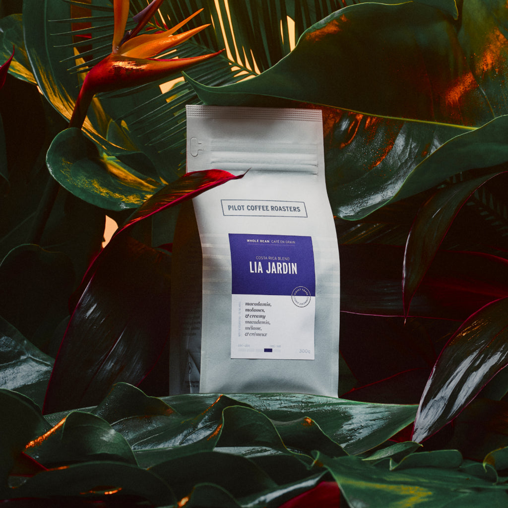 A bag of Lia Jardin is surrounded by deep green jungle like vegetation