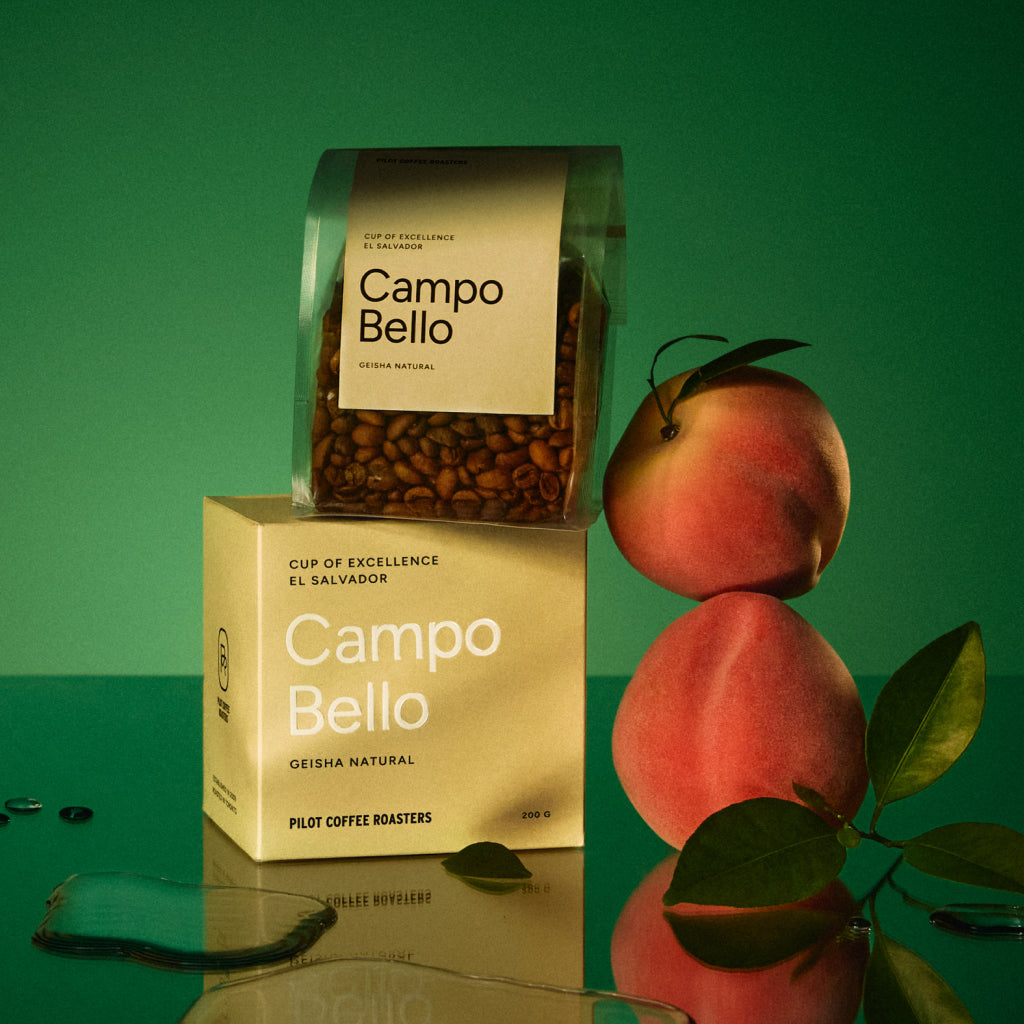 Campo Bello 'Geisha Natural' – El Salvador