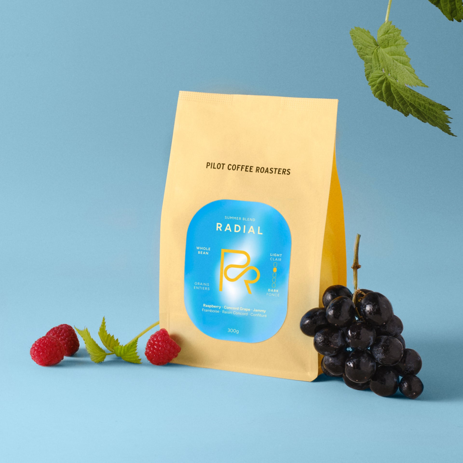 Photo of Radial – Summer Blend